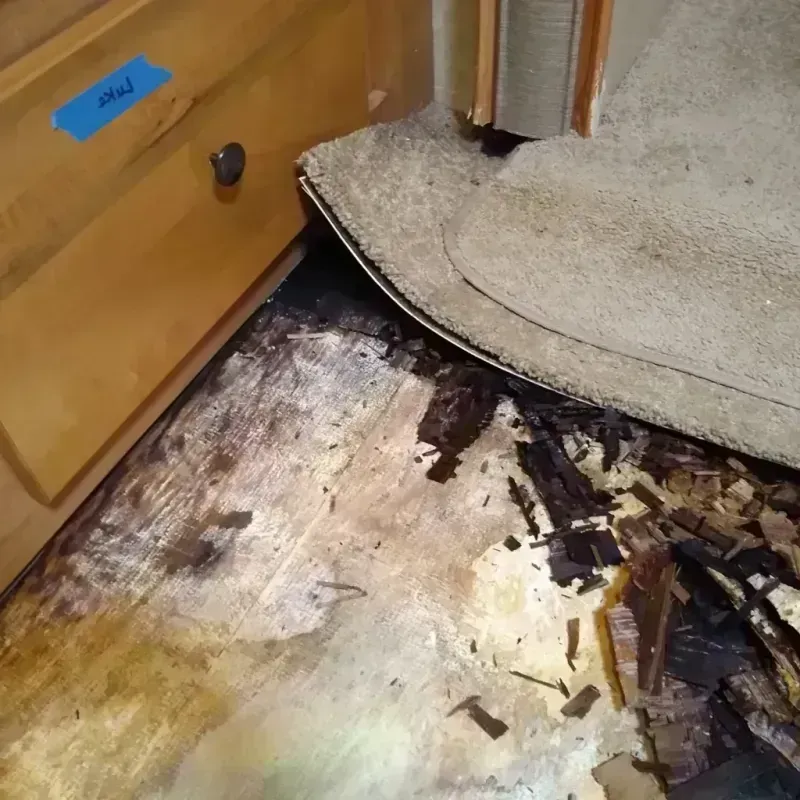 Wood Floor Water Damage in Kathleen, FL